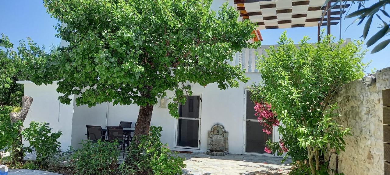 Villa Beloussi Zakynthos Kypseli Exterior photo